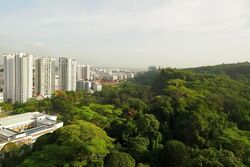 Regent Heights (D23), Condominium #585705181
